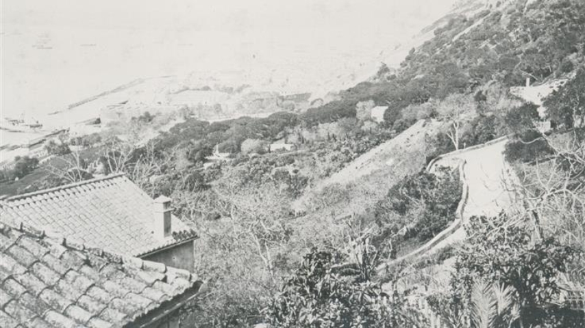 View from St Bernards Cottege